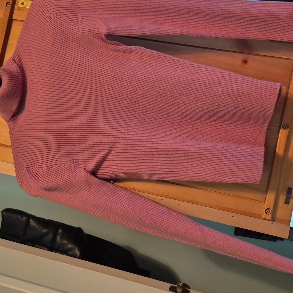 BNWT Express turtleneck.